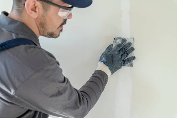 Trusted Oregon, IL Mold Removal Experts