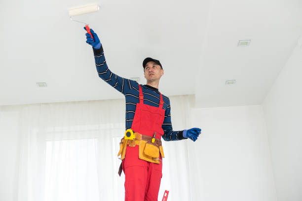Best Attic Mold Removal  in Oregon, IL