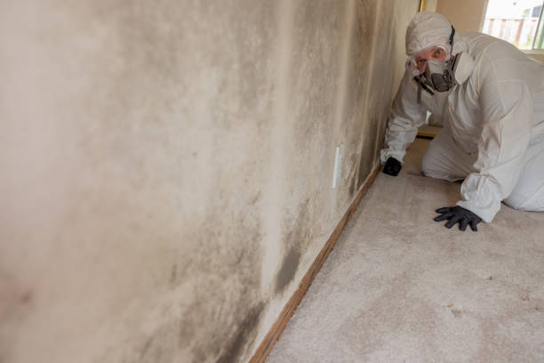 Best Crawl Space Mold Remediation  in Oregon, IL