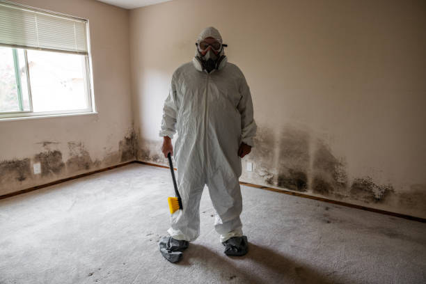 Best Residential Mold Inspection & Testing  in Oregon, IL