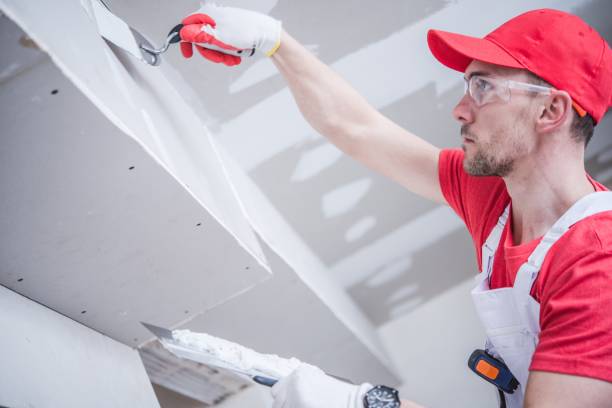 Best Mold Odor Removal Services  in Oregon, IL