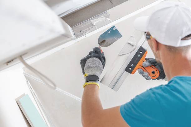 Best Air Quality Testing for Mold Spores  in Oregon, IL
